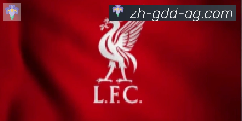 AG娱乐登录合作伙伴